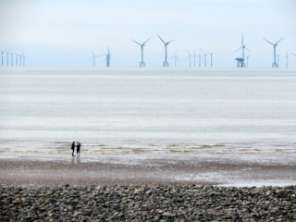 Ocean wind farms harness energy from the wind, saving other valuable natural resources