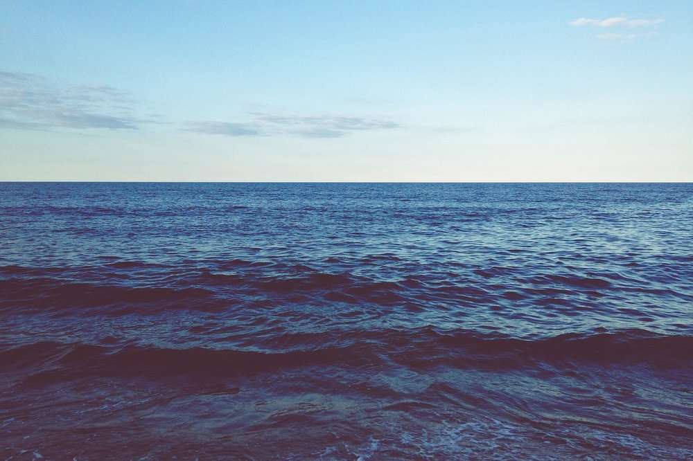 Only 5% of the oceans have been explored by humans. . . what does the other 95% have to tell us?