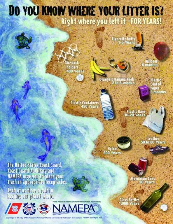 thumbnail of 200114 NAMEPA litter