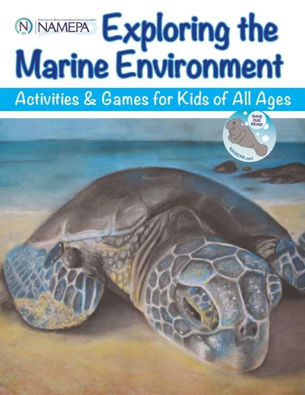 thumbnail of Exploring Marine Environment Activity Book